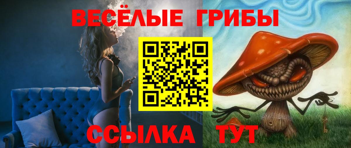 Псилоцибиновые грибы GOLDEN TEACHER  Псилоцибиновые грибы мухоморы  Вход с VPN  Белебей 