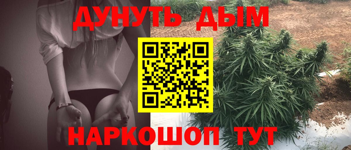 Конопля сатива Белебей